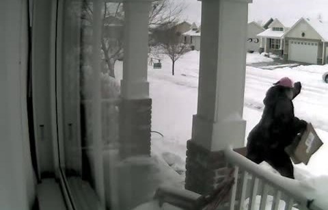 The thieves pulled up to the mailbox in an SUV, took the mail, and calmly walked up the driveway to the front door, snatched several packages, then darted across the snow-covered lawn for the getaway.